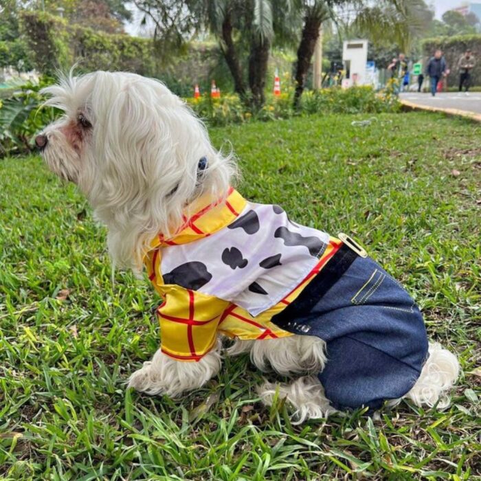 Disfraz Woody Toy Story para perros