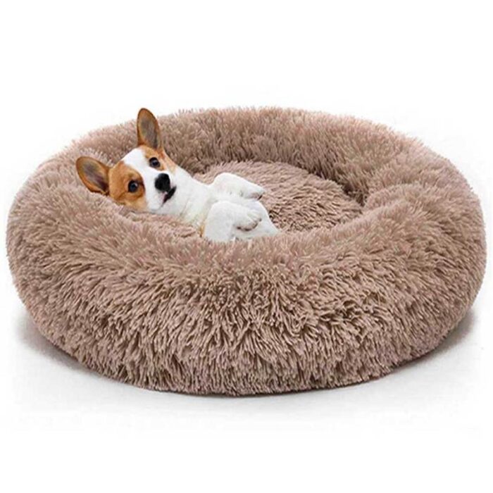 Cama donuts
